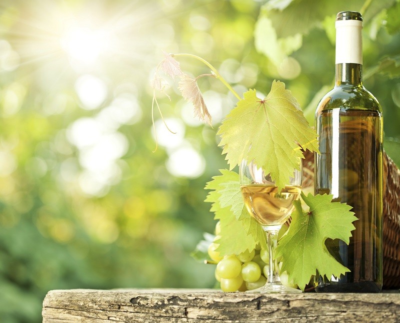 Mejores vinos blancos Españoles por menos de 10€ - Guía 2021