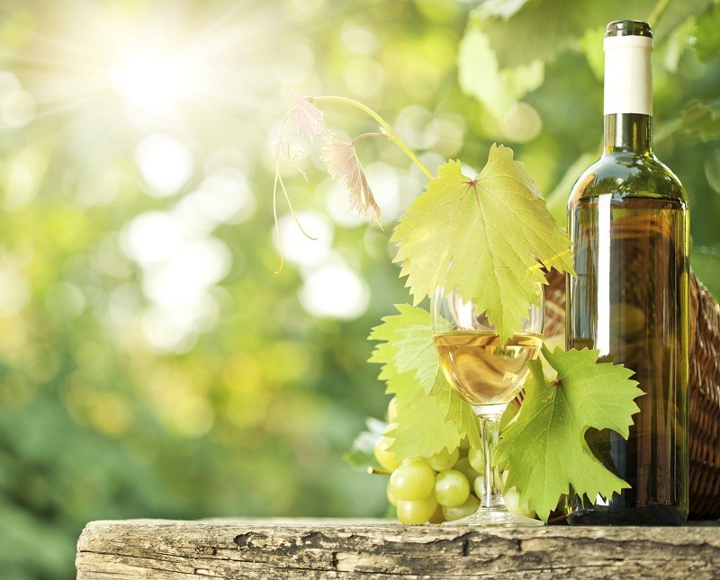 Mejores vinos blancos Españoles por menos de 10€ - Guía 2016