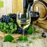 Mejores vinos ecológicos Españoles