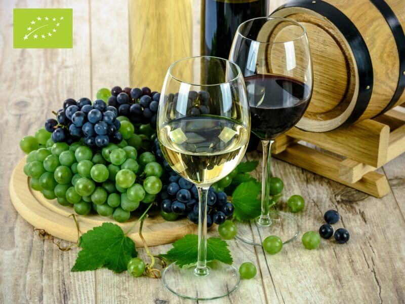 Mejores vinos ecológicos Españoles