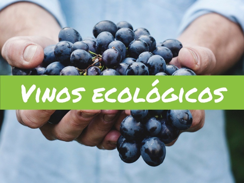 Vinos ecológicos españoles