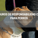 Información de los seguros de responsabilidad civil para perros