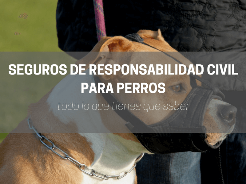 Información de los seguros de responsabilidad civil para perros