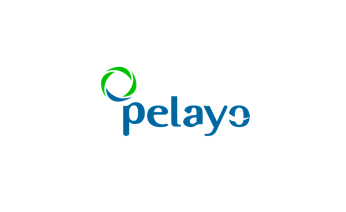 Aseguradora Pelayo