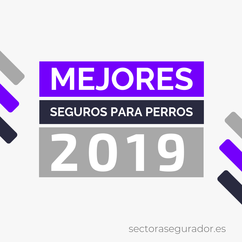Mejores seguros para perros 2019