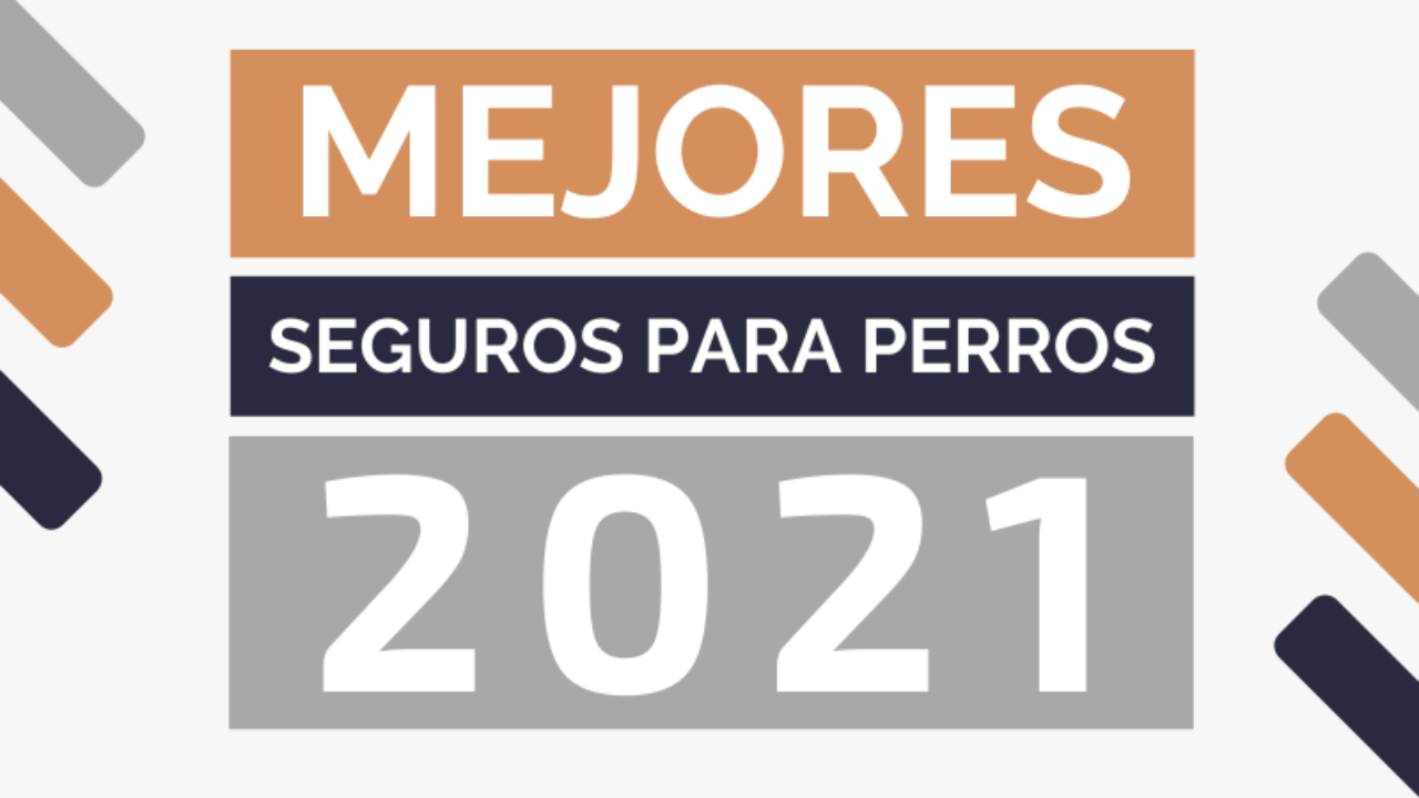 Procesando navegación En necesidad de Ranking con los Mejores Seguros para Perros - Actualizado en 2021 Procesando navegación En necesidad de Ranking con los Mejores Seguros para Perros - Actualizado en 2021