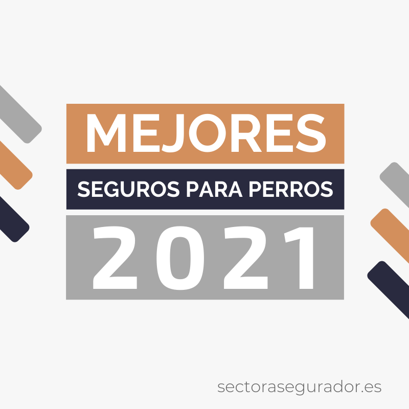 Mejores seguros para perros del 2021