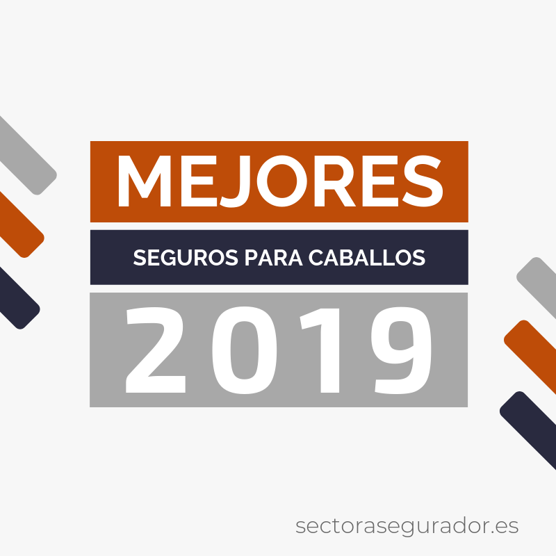 Los mejores seguros para caballos del 2019