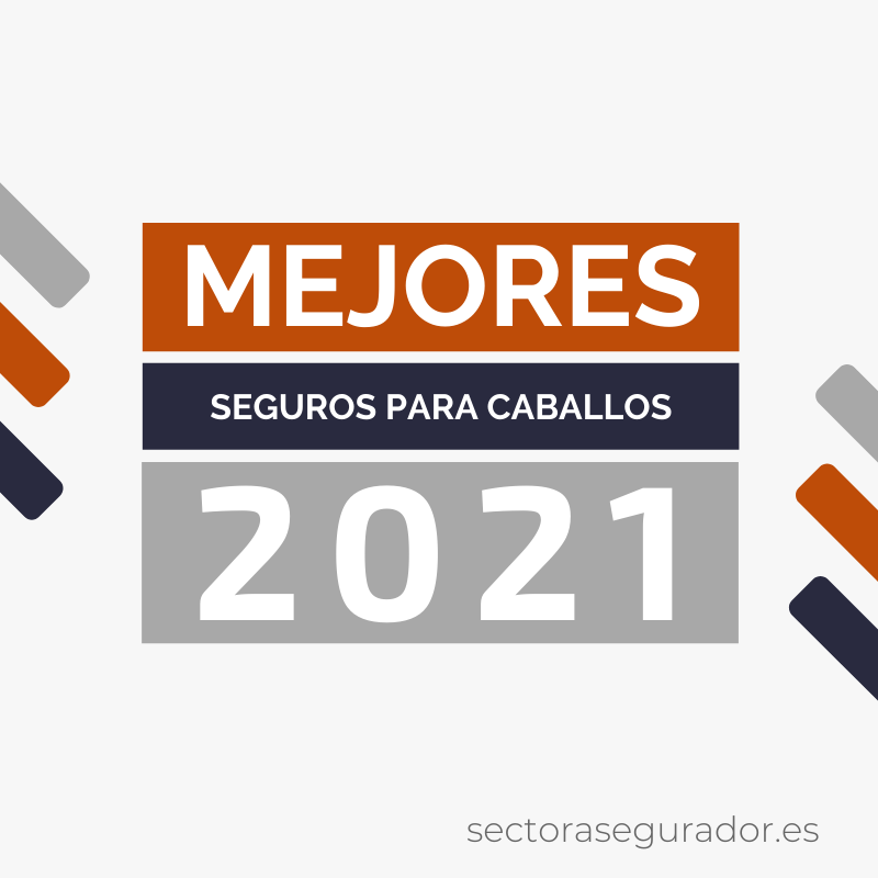 Mejores seguros para caballos del 2021