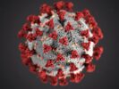 Recomendaciones de fuentes oficiales sobre el coronavirus