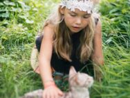 Mejores gatos para tener con niños